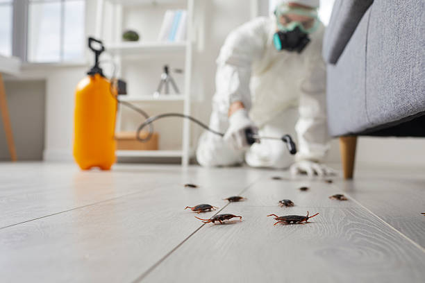 Commercial Kitchen Cockroach Control in Elmer